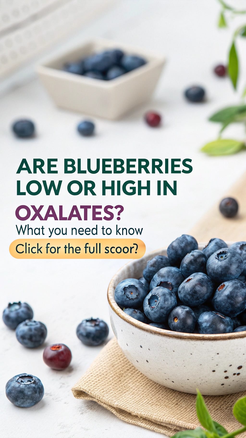 are blueberries low oxalate or high oxalate